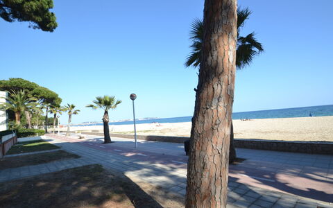 Cambrils 185: Pflanze, Eigentum, Zimmerpflanze, Gebäude, Blumentopf, Beleuchtung, Interior Design, Holz, Flooring, Fussboden