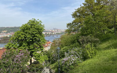 Nekazanka
