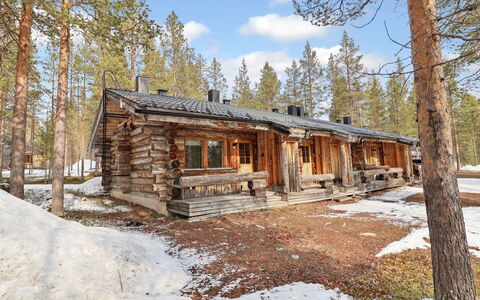 Kelorakka 9: Holz, Hütte, Blockhaus, Wald, Schuppen, Gartenbauten, Lärche, Wald, Holzbeize
