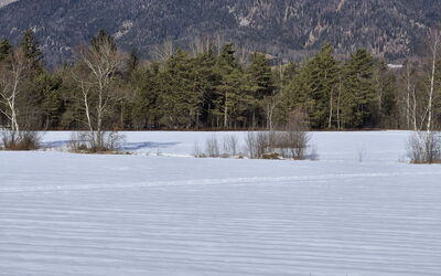 Strobl 1