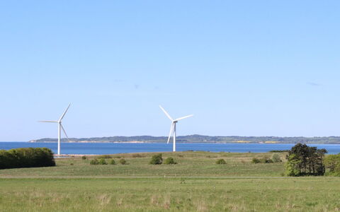 Adia - 650M from the Sea: Estate, Schatten, Auffahrt, Bauernhaus