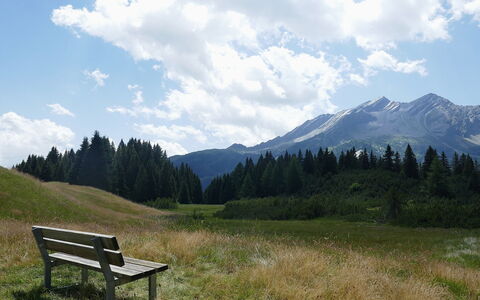 Larice: Himmel, Bergforms, Grün, Gras, Natur, Natürlichen Umgebung, Berg, Hügel, Natürliche Landschaft, Wiese
