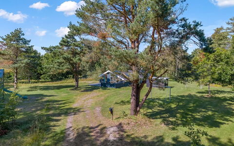 Rathulf - 700M from the Sea: Baum, Einfach, Wiese, Grundstueck, Wiese, Rasen, Weide, Park, Immergrün