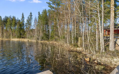 Järven Idylli: Holz, Hütte, Zuhause, Blockhaus, Holz, Abstellgleis, Hartholz, Natürliches Material, Gartenbauten, Hütte