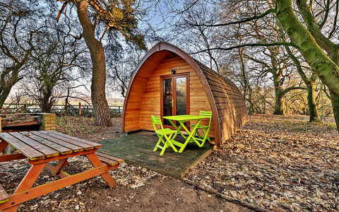 Aelfred Pod: Park, Herbst, Blockhaus