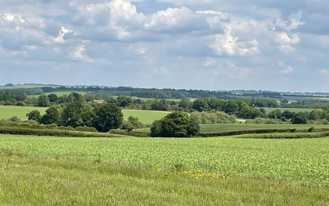 The Cornflower: Himmel, Daytime, Grün, Wolke, Natürlichen Umgebung, Wiese, Natürliche Landschaft, Feld, Einfach, Ökoregion