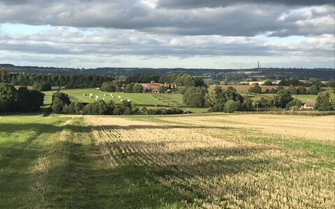 The Cornflower: Himmel, Grün, Daytime, Gras, Wolke, Wiese, Feld, Einfach, Natürliche Landschaft, Horizont