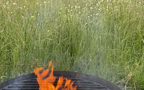The Cornflower: Grill, Kochen, Rasen, Essen