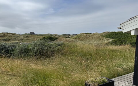 Marcus - 500M from the Sea: Estate, Schatten, Auffahrt, Bauernhaus