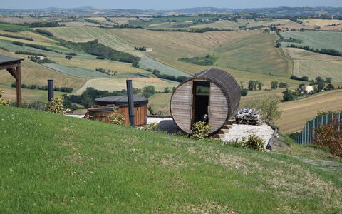Casa In Collina: Hügel, Landschaft, Einfach, Wiese, Ländliches Gebiet, Feld, Senke, Prärie, Bauernhof
