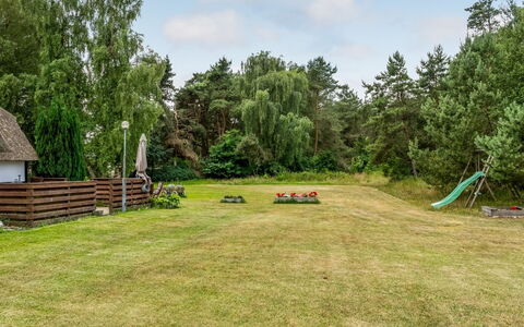 Hoat - 1.7Km from the Sea: Baum, Grundstueck, Garten, Rasen, Hütte, Wiese, Hinterhof, Landscaping, Park, Weide