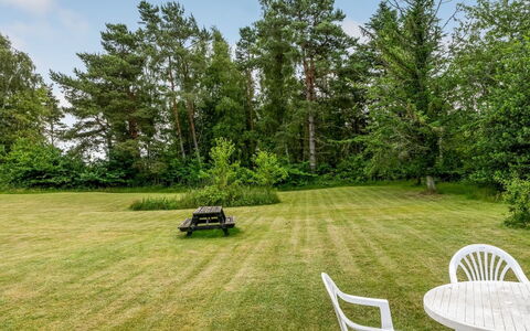 Hoat - 1.7Km from the Sea: Baum, Gras, Strauch, Landschaft, Garten, Grundstueck, Rasen, Wiese, Landscaping, Park
