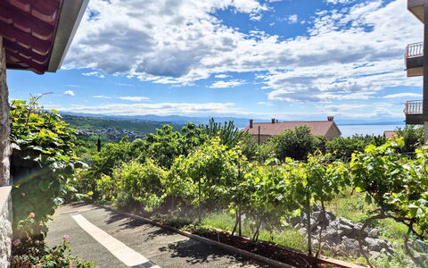 Opatija Pobri 137: Gras, Haus, Ländliches Gebiet, Hütte, Dach, Zuhause, Landschaft, Einfach, Grundstueck