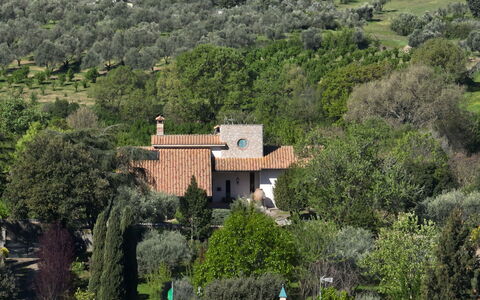 Villa Ginevra: Baum, Strauch, Haus, Dach, Zuhause, Ländliches Gebiet, Grundstueck, Estate, Plantage, Garten