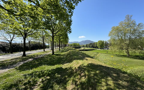 Il Cervo In Città: Grün, Gras, Natur, Natürliche Landschaft, Vegetation, Wiese, Hügel, Einfach, Landschaft, Grundstueck