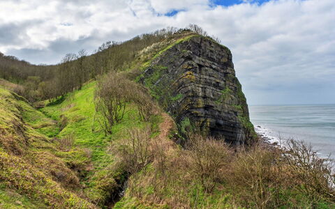 Hawthorn Barn: \Fels, Terrain, Zutageliegen, Bedrock, Geologie, Klippe, Steigung, Böschung, Cliff