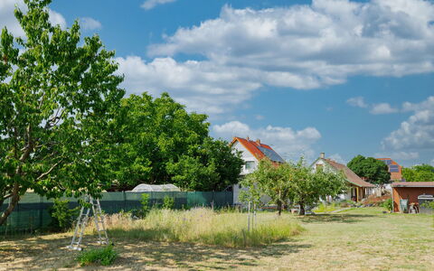 Goggola: Himmel, Daytime, Baum, Blatt, Wolke, Einfach, Grundstueck, Ländliches Gebiet, Frühling, Gehölz