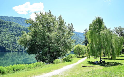 Casa Zaira: Grün, Blatt, Baum, Natur, Natürlichen Umgebung, Vegetation, Natürliche Landschaft, Landschaft, Bank, Frühling