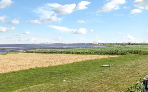 Kjera - 2.4Km from the Sea: Himmel, Blau, Grün, Daytime, Gras, Natürlichen Umgebung, Wolke, Wiese, Einfach, Horizont