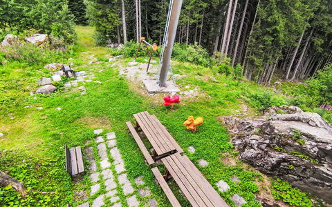 Tra le Piste: Wald, Lärche, Garten, Wald, Immergrün, Landscaping, Tropische Und Subtropische Koniferenwald