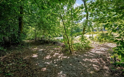 Vitus - 600M from the Sea