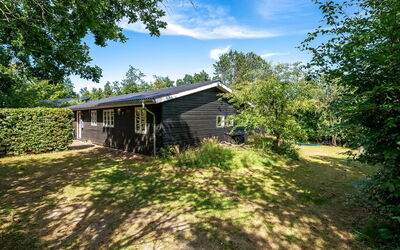 Vitus - 600M from the Sea