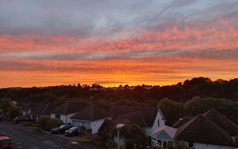 Willow Dene: Himmel, Daytime, Afterglow, Natur, Orange, Horizont, Dämmerung, Sonnenuntergang, Wolke, Morgenröte
