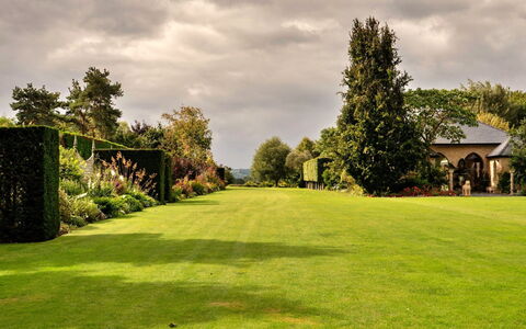 Ryeworth Cottage: Gras, Grün, Baum, Blatt, Natur, Vegetation, Garten, Strauch, Landschaft