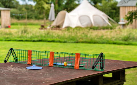 Beech Lotus Belle Tent: Einfach, Rasen, Park, Schatten, Hinterhof