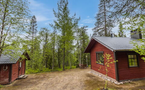 Riekkola: Baum, Holz, Hütte, Haus, Zuhause, Dach, Grundstueck, Ländliches Gebiet, Wald, Schuppen