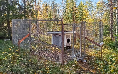 Riekkola: Holz, Wald, Gittergewebe, Zaun