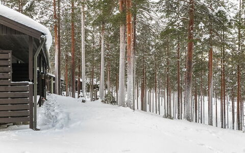 Rokua Vaulutupa: Schwimmbad, Gebirge, Eco Hotel, Resort, Estate, Senke, Villa, Landscaping, Ferienort, Hinterhof