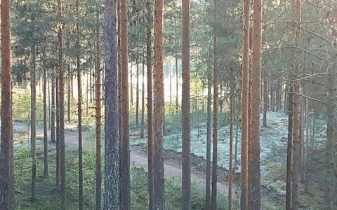 Rokua Vaulutupa: Schwimmbad, Gebirge, Eco Hotel, Resort, Estate, Senke, Villa, Landscaping, Ferienort, Hinterhof