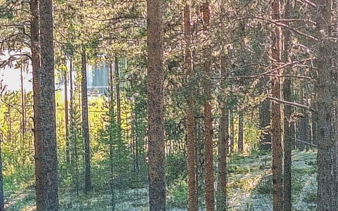 Rokua Vaulutupa: Schwimmbad, Gebirge, Eco Hotel, Resort, Estate, Senke, Villa, Landscaping, Ferienort, Hinterhof