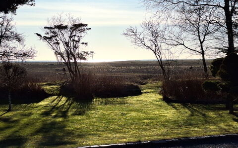 Bodulf - 850M from the Sea: Natur, Ast, Natürliche Landschaft, Einfach, Kofferraum, Sonnenlicht, Morgen, Rasen, Zweig, Landscaping