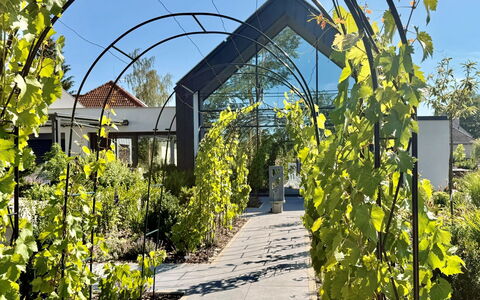 Luxury Palace with Swimming Spa&Jacuzzi: Garten, Schatten, Botanischer Garten, Plantage, Outdoor Struktur