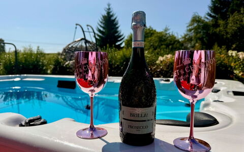 Luxury Palace with Swimming Spa&Jacuzzi: Flasche, Drinkware, Geschirr, Glasflasche, Kelche, Wein