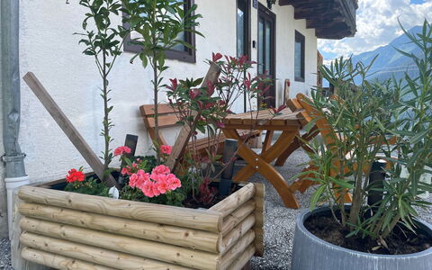 Panoramaperle: Holz, Blumentopf, Zimmerpflanze, Garten, Hartholz, Floristik, Planke, Holzbeize, Kraut