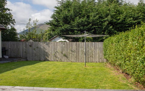 4 Storr Place: Strauch, Garten, Ground, Hinterhof, Schatten, Rasen, Zaun, Landscaping, Home Fechten, Garten