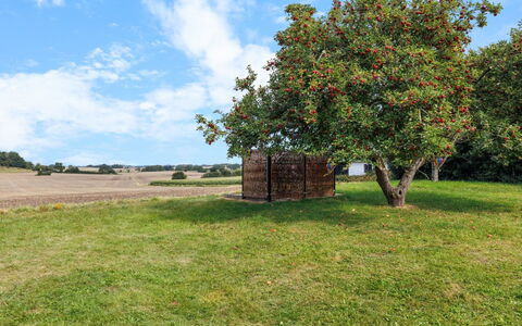 Alisa - 2.5Km from the Sea: Gras, Wiese, Grundstueck, Hütte, Ländliches Gebiet, Wiese, Gartenbauten, Garten, Schuppen