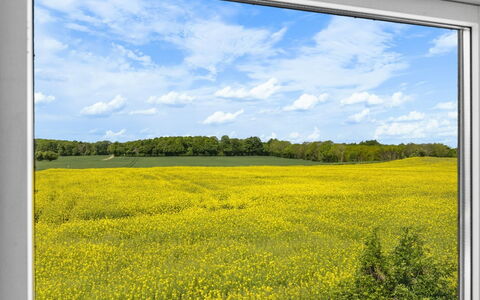 Alisa - 2.5Km from the Sea: Gras, Wiese, Grundstueck, Hütte, Ländliches Gebiet, Wiese, Gartenbauten, Garten, Schuppen