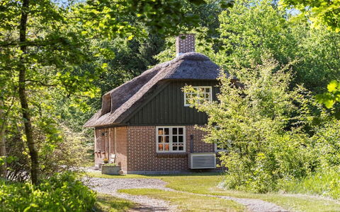 Hilaria - 2.1Km from the Sea: Baum, Hütte, Strauch, Haus, Dach, Ländliches Gebiet, Zuhause, Bauernhaus, Frühling, Dachdecken