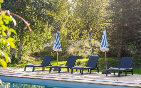 Arsi - 1.8Km from the Sea: Landschaft, Grundstueck, Plantage, Pine Familie, Immergrün