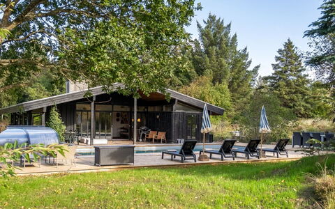 Arsi - 1.8Km from the Sea: Landschaft, Grundstueck, Plantage, Pine Familie, Immergrün