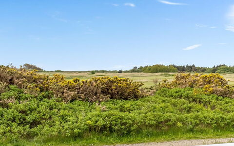 Steffan - 2.3Km from the Sea: Hütte, Hinterhof, Garten, Gartenbauten, Schuppen, Abstellgleis, Gartenmöbel, Blockhaus, Outdoor Struktur, Hütte