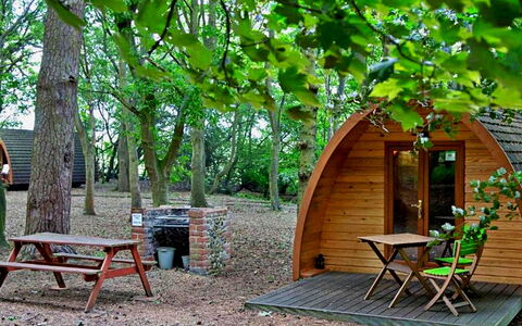 Eadmund Pod: Holz, Frühling, Garten, Gartenbauten, Wald, Park, Tisch Im Freien, Holzbeize, Schuppen, Picknicktisch