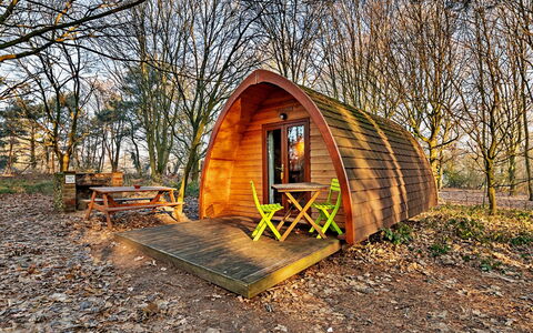 Eadmund Pod: Holz, Blockhaus, Wald, Schuppen, Gartenbauten, Park, Weg, Herbst, Hütte, Camping