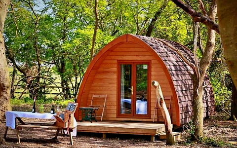 Eadmund Pod: Holz, Gartenbauten, Schuppen, Blockhaus, Frühling, Hütte, Kofferraum, Wald, Garten
