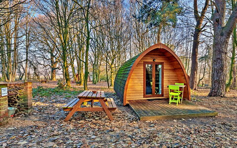 Boudicca Pod: Holz, Schuppen, Gartenbauten, Blockhaus, Wald, Park, Hütte, Herbst