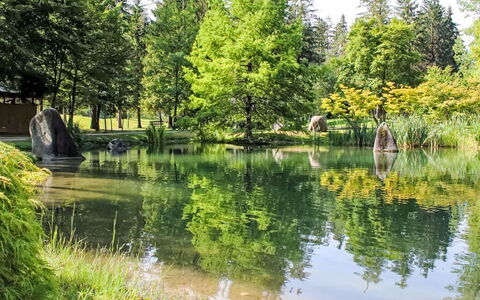 Terme di Comano 104: Wasser, Gewässer, Baum, Wasservorräte, Grün, Natur, Natürlichen Umgebung, Natürliche Landschaft, Wasserlauf, Reflexion